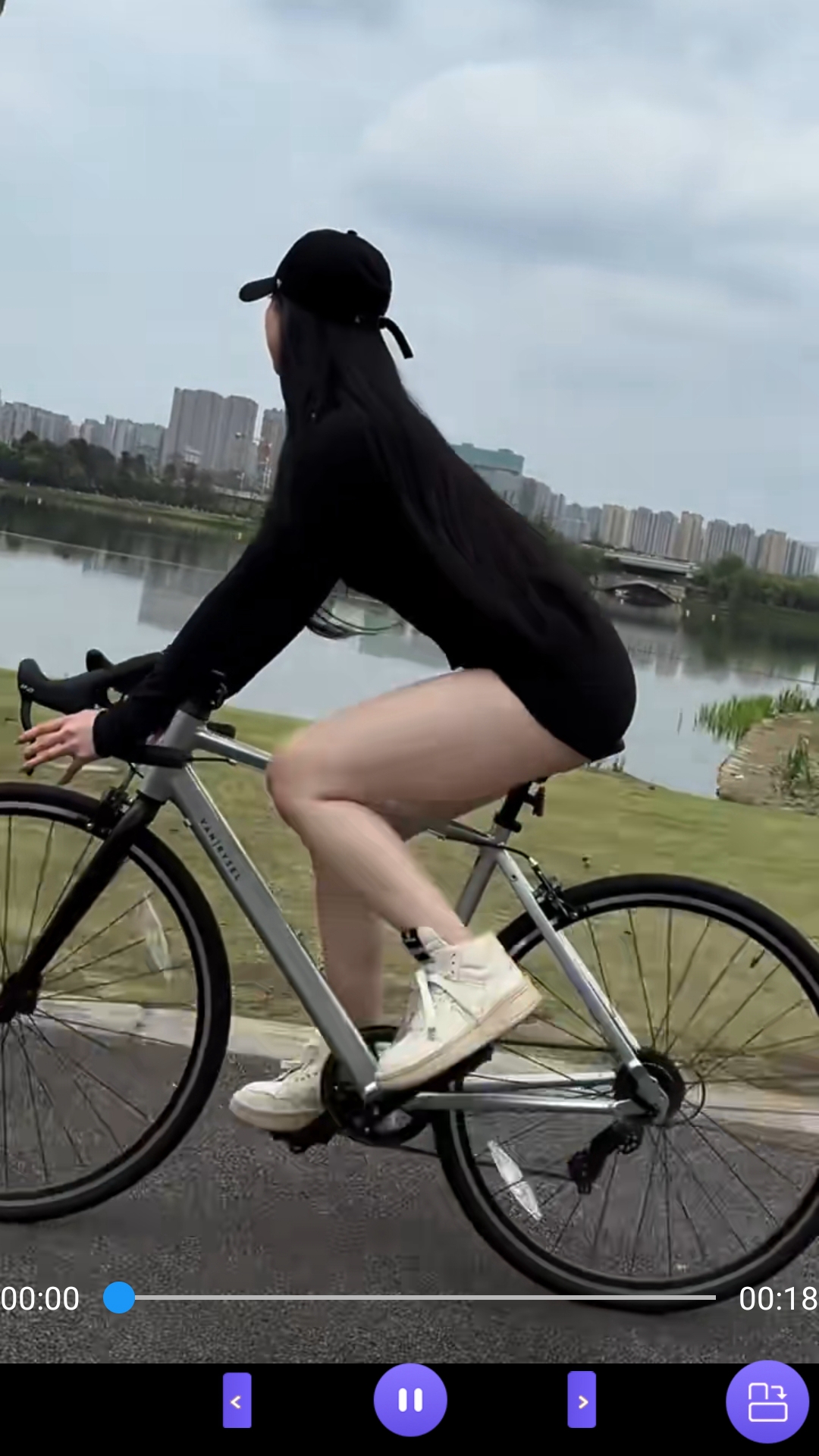 作者二毛君的小说截图